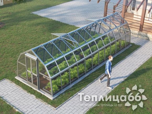 Теплица Рада Нева под стекло, 2,65х8 метров