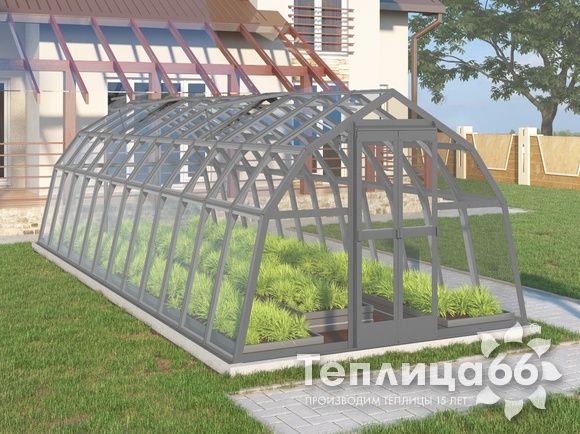 Теплица Рада Волга под стекло, 3х8 метров, графитовая
