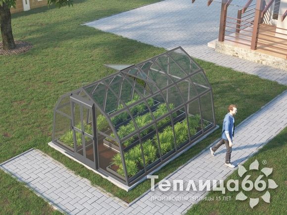 Теплица Рада Волга под стекло, 3х4 метра, графитовая