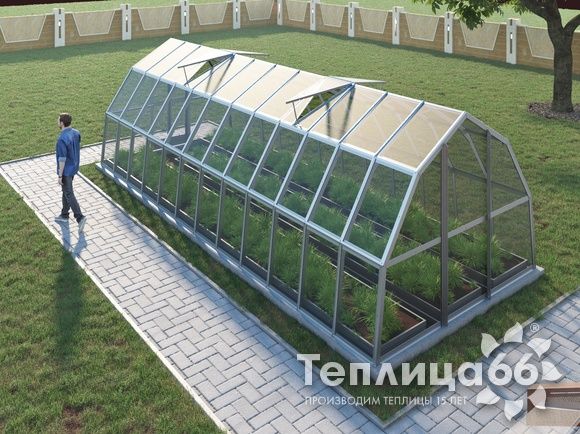 Теплица Рада Исеть под стекло, 3х8 метра