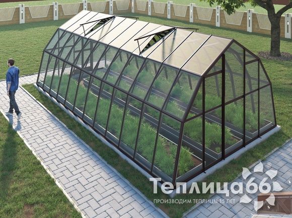 Теплица Рада Енисей под стекло, 4х8 метров, коричневая