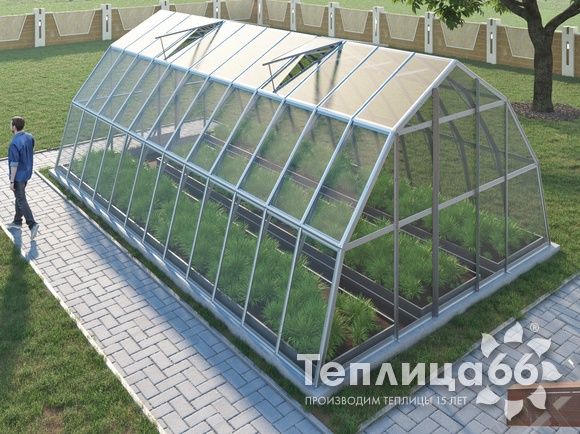 Теплица Рада Нил под стекло, 4,5х8 метров