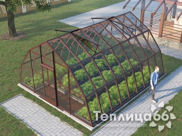 Теплица Рада Амазонка под стекло, 5х6 метров, коричневая