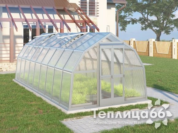 Теплица Рада Ладога из поликарбоната, 2.65х6 метров