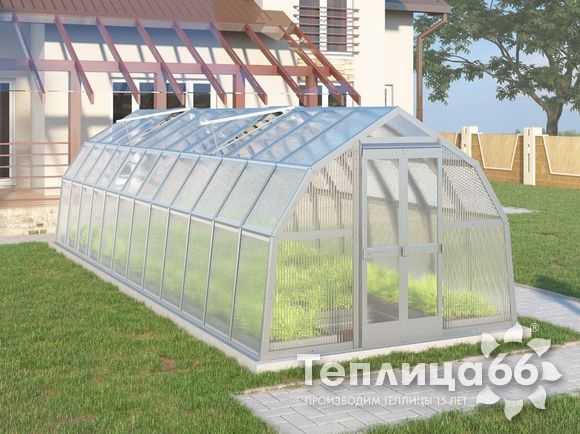 Теплица Рада Ладога из поликарбоната, 2.65х8 метров