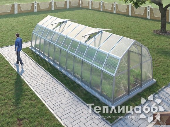 Теплица Рада Ладога из поликарбоната, 2.65х8 метров
