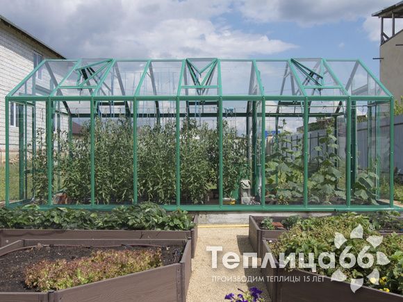 Теплица Рада Гарденикс 3 С (под стекло), ширина 3 м